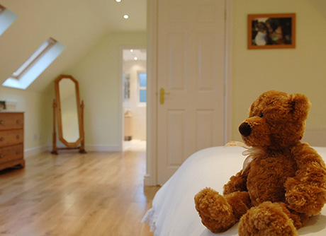 Teddy bear in loft conversion